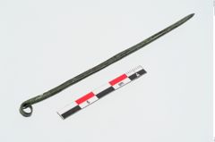 Foto von Bronzerollenkopfnadel (NHMW-PRAE-023962)